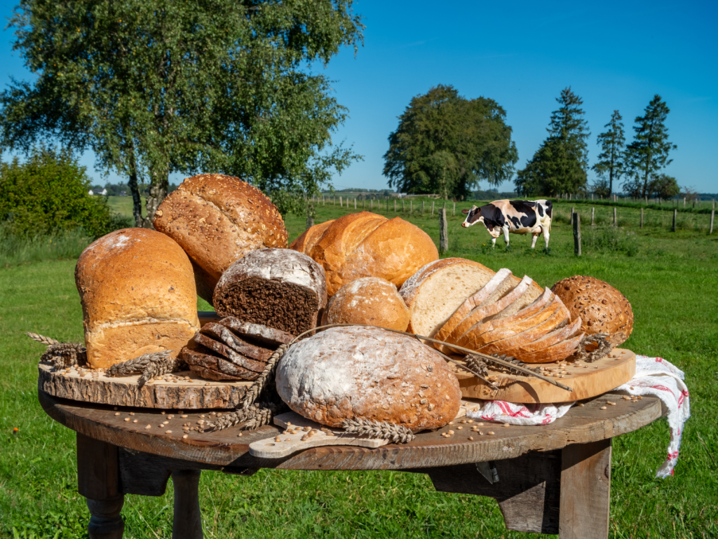 Votre boulangerie pâtisserie les plaisirs gourmands à Bastogne et Marvie - Sébastien Brisy